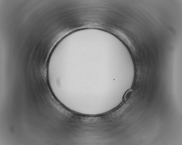 X0000111351284200908071125