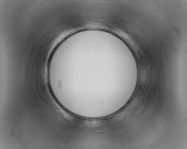 X0000111351286200908071125