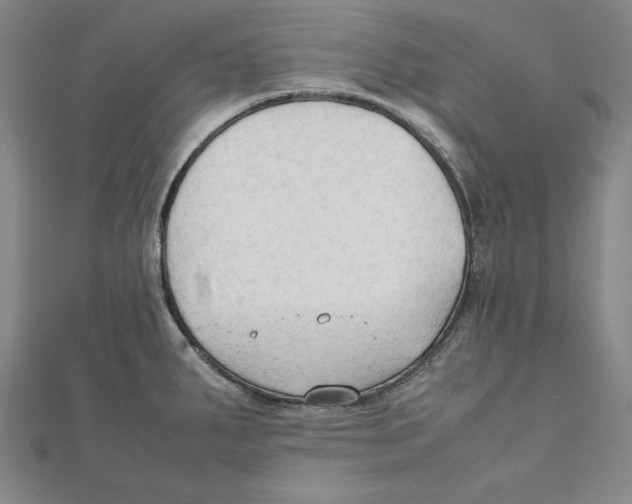 X0000111351287200908071125