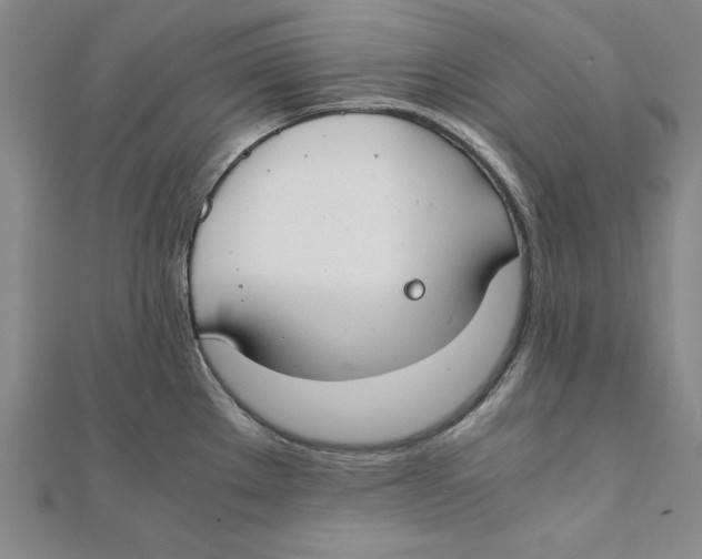 X0000111351289200908071125