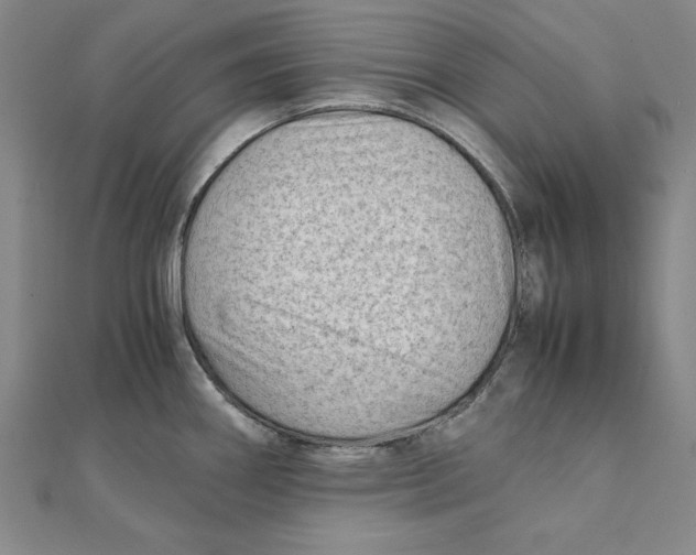 X0000111351290200908071125