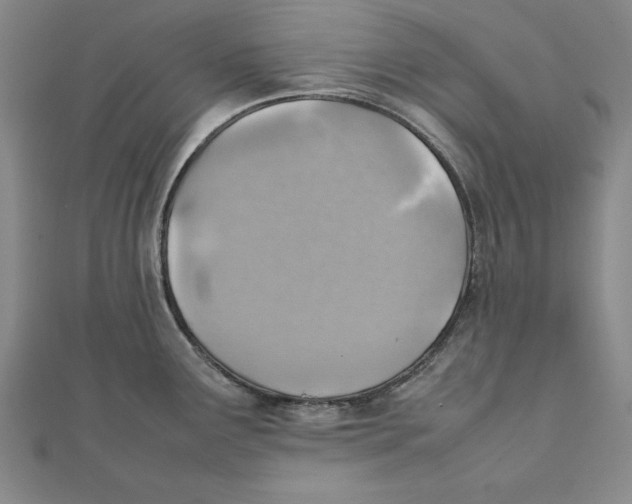 X0000111351291200908071125