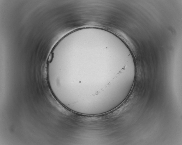 X0000111351292200908071125