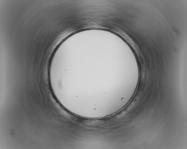 X0000111351293200908071125