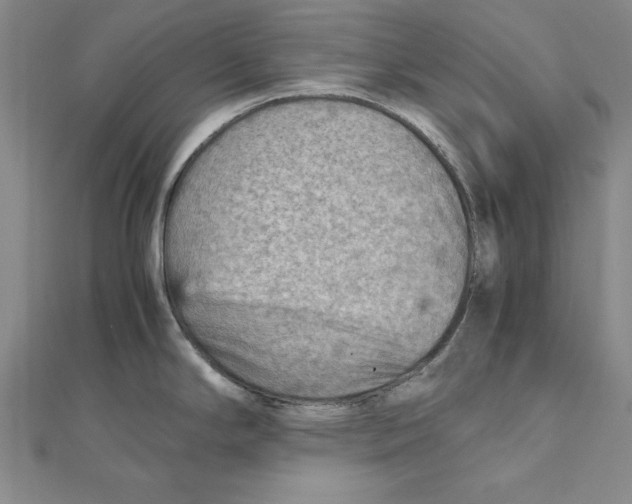 X0000111351294200908071125