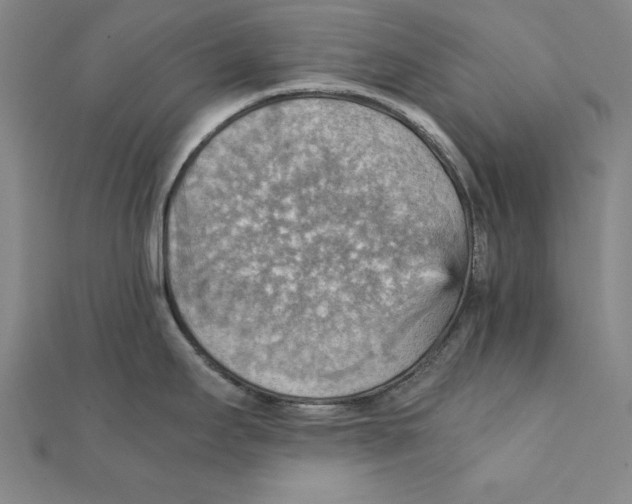 X0000111351295200908071125