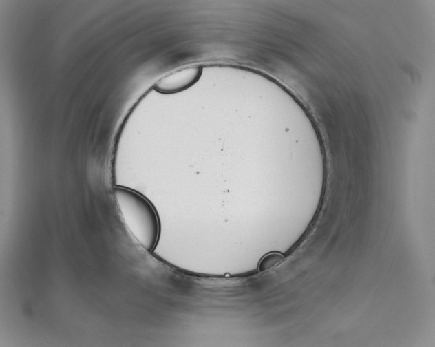 X0000111351296200908071125