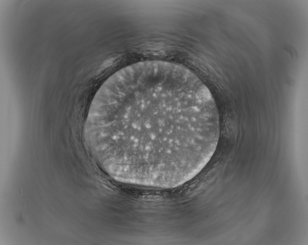 X0000111351297200908071124