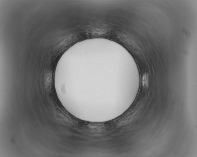 X0000111351299200908071124