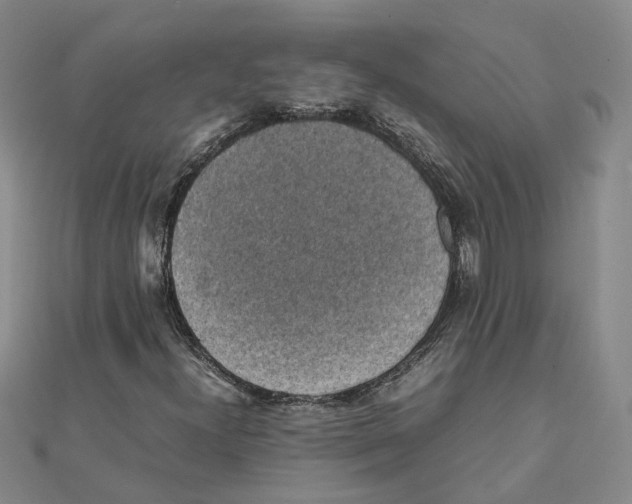 X0000111351300200908071124