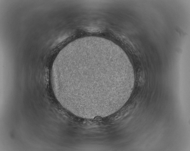 X0000111351301200908071124