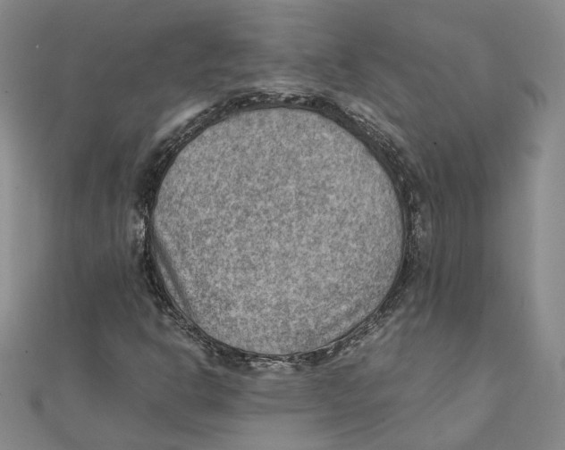 X0000111351302200908071124