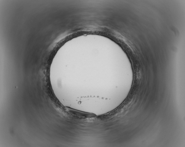 X0000111351304200908071124