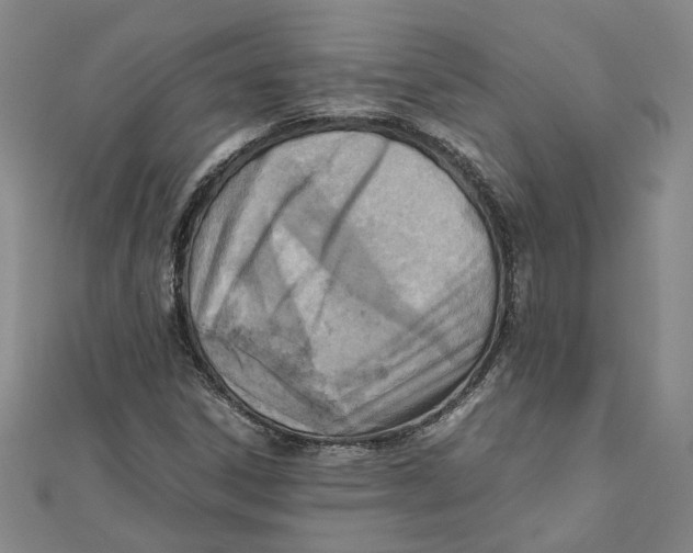 X0000111351306200908071124