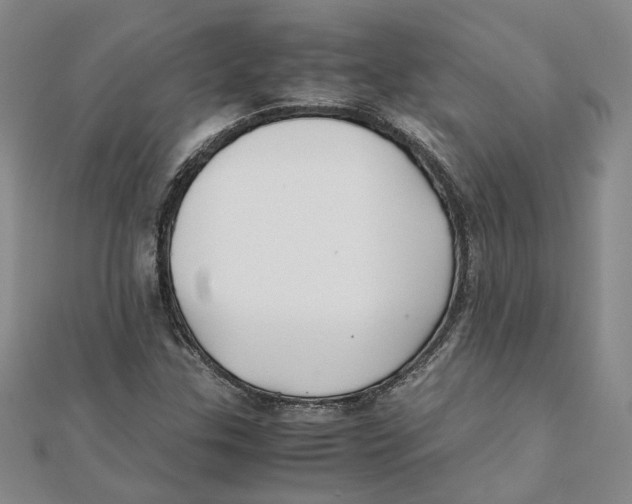 X0000111351307200908071124