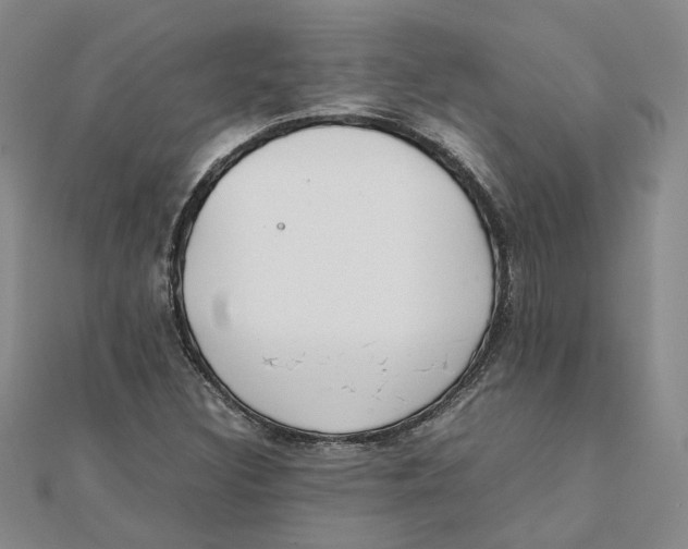 X0000111351308200908071124