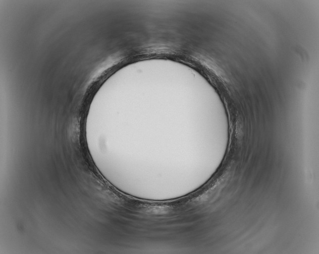 X0000111351309200908071124