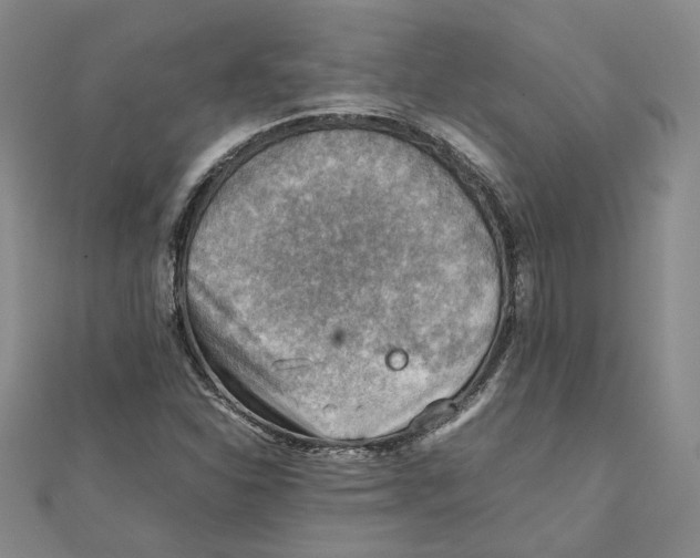 X0000111351310200908071125