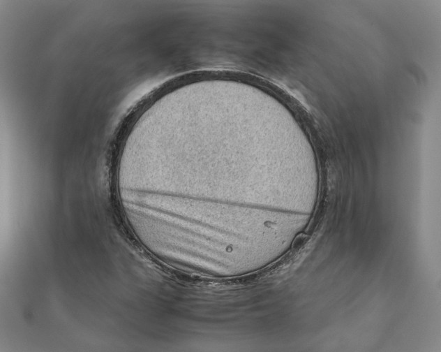 X0000111351311200908071125