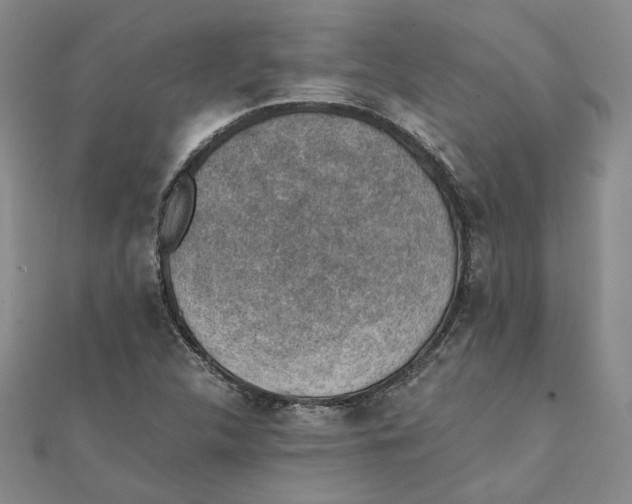 X0000111351312200908071125