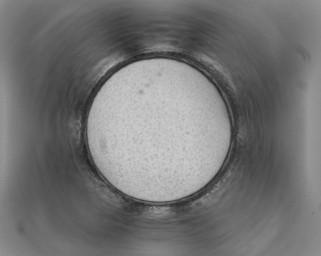 X0000111351313200908071125