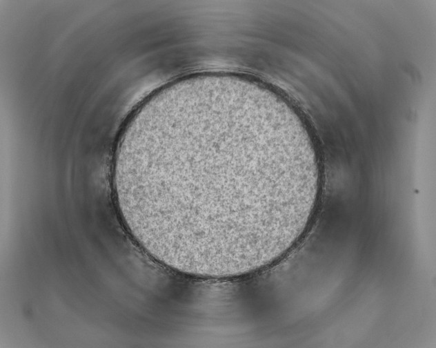 X0000111351314200908071125