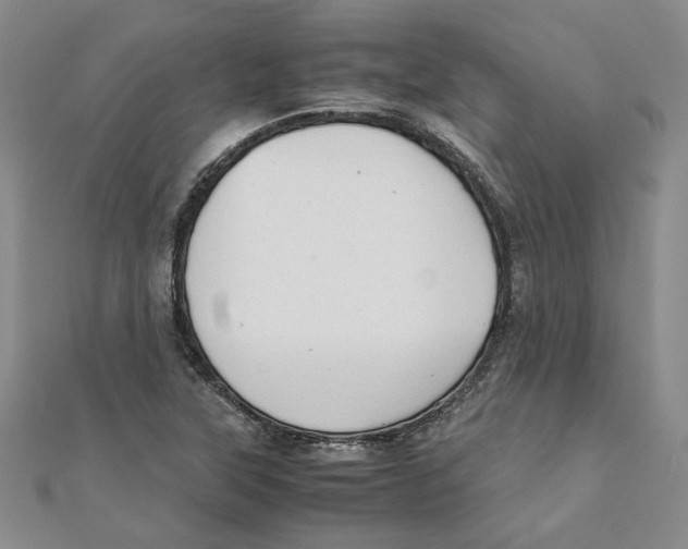 X0000111351315200908071125