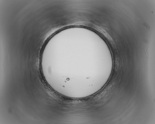 X0000111351316200908071125