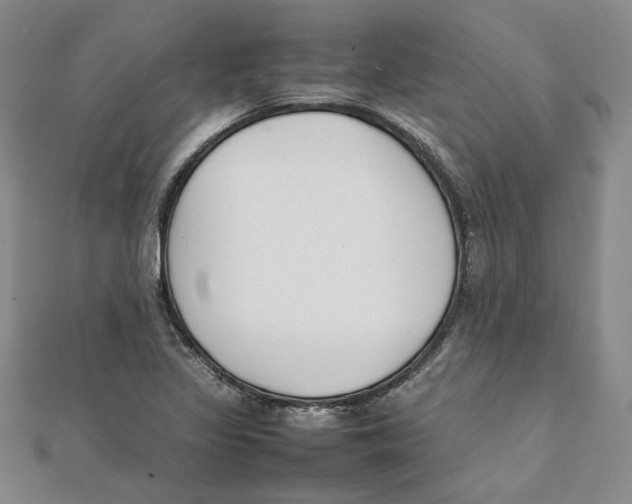 X0000111351317200908071125