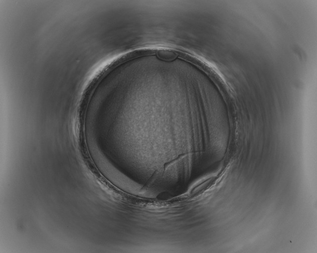 X0000111351319200908071125