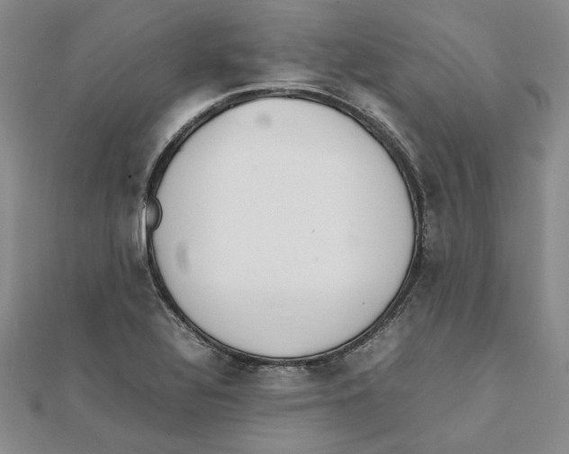 X0000111351320200908071125