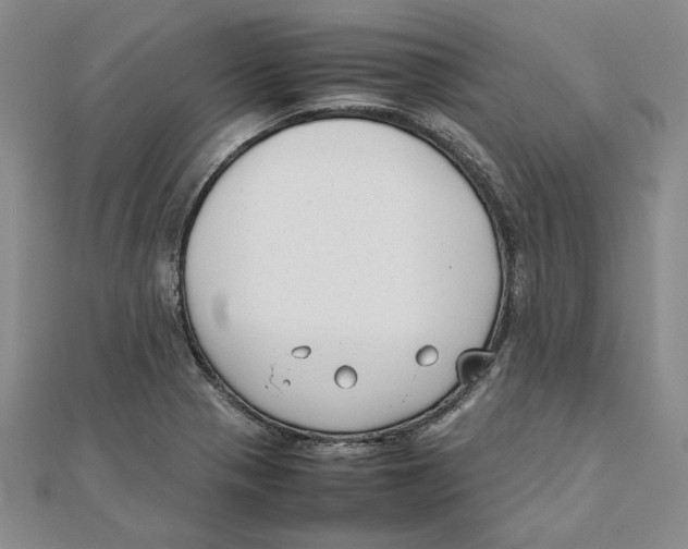 X0000111351321200908071125