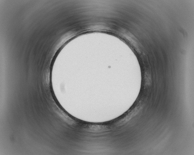 X0000111351322200908071125