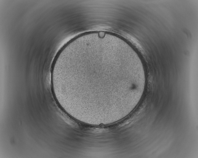 X0000111351324200908071125