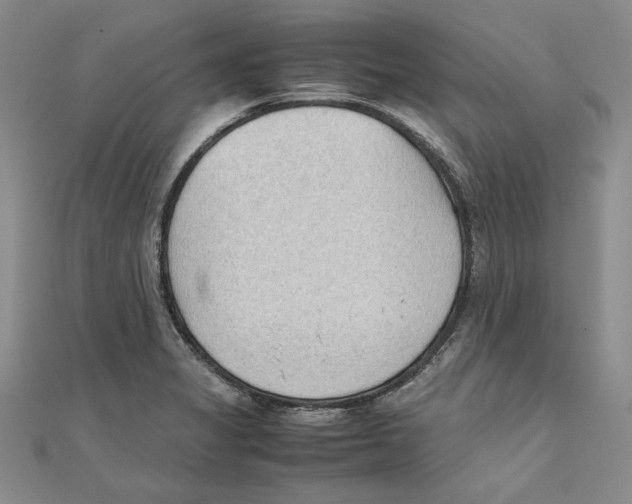 X0000111351325200908071125