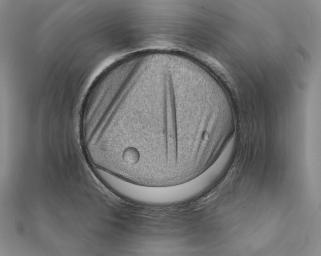 X0000111351326200908071125