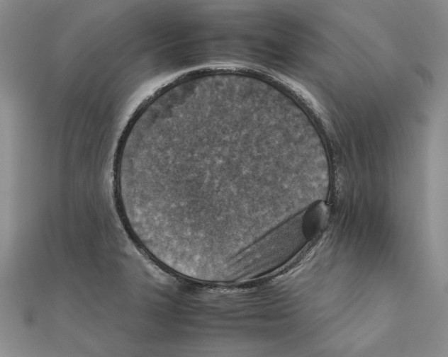 X0000111351327200908071125