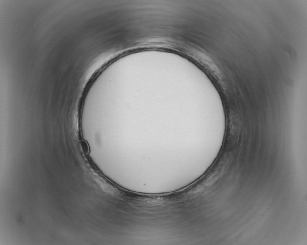 X0000111351328200908071125