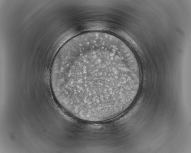 X0000111351329200908071125