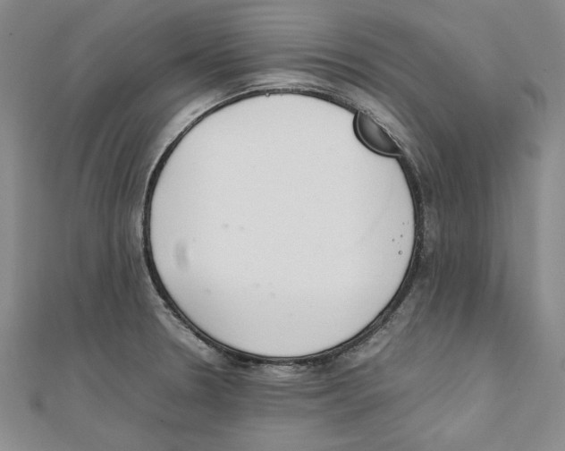 X0000111351330200908071125