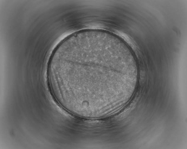 X0000111351331200908071125