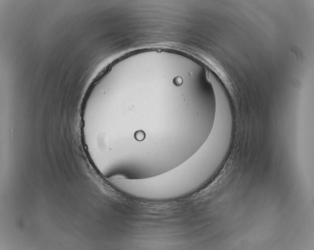 X0000111351332200908071125