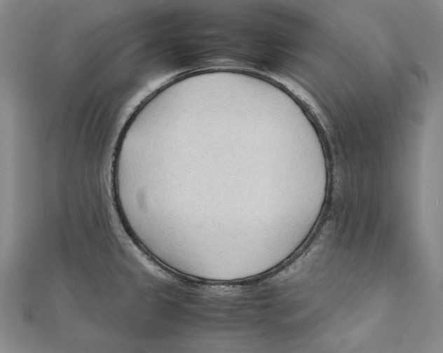 X0000111351333200908071125