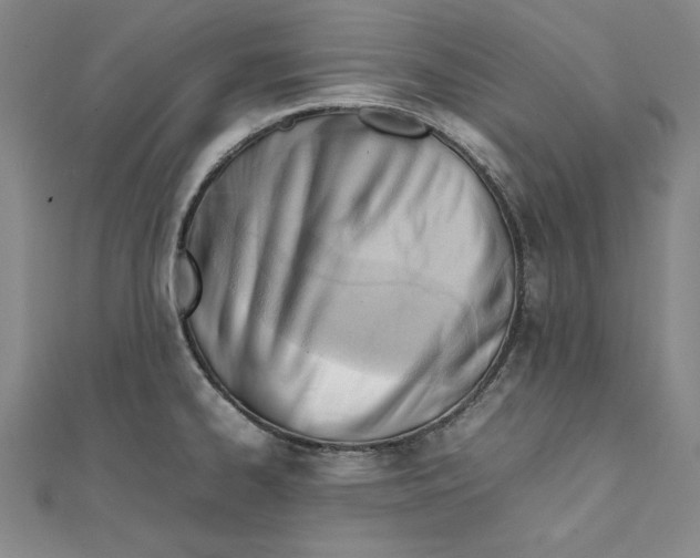 X0000111351334200908071125