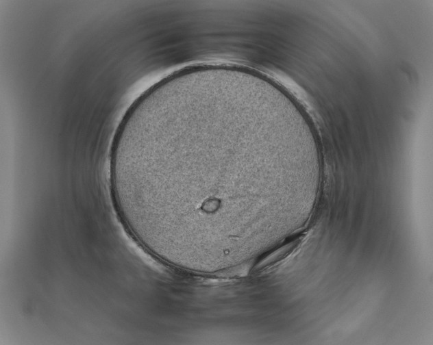 X0000111351335200908071125