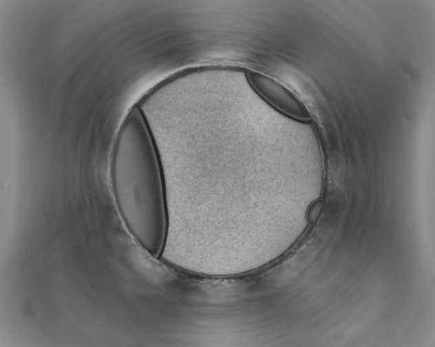 X0000111351336200908071125