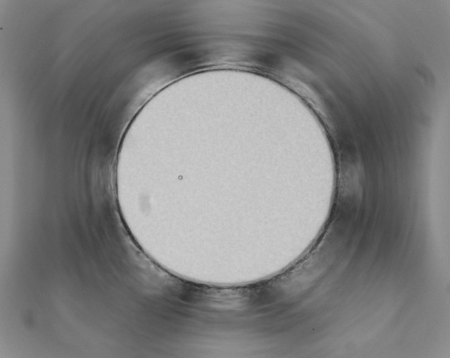 X0000111351338200908071125