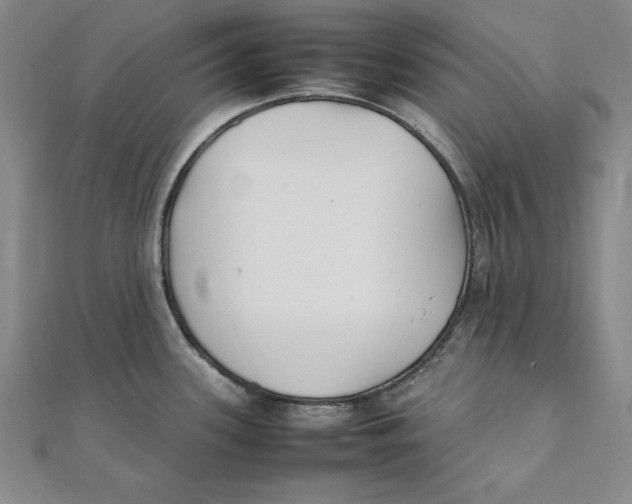 X0000111351339200908071125