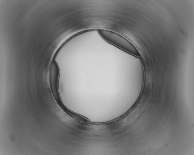 X0000111351340200908071125