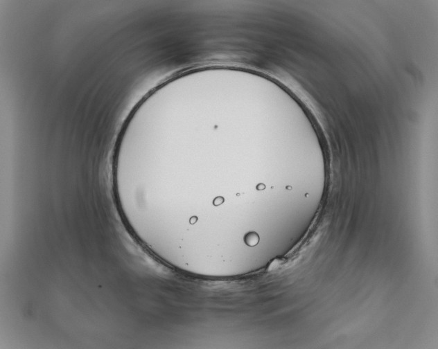 X0000111351341200908071125